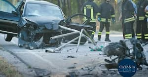 Palm Harbor accident